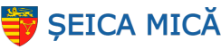 Primăria Șeica Mică